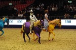 Quadrille - 00507